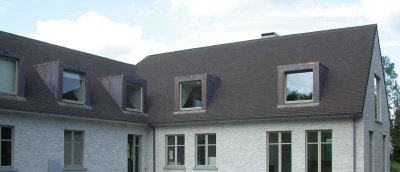 TERREAL RUSTIQUE (Vieilli Clair)